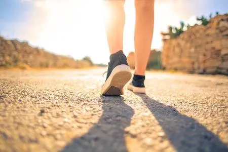 Person walking along a tree-lined urban sidewalk